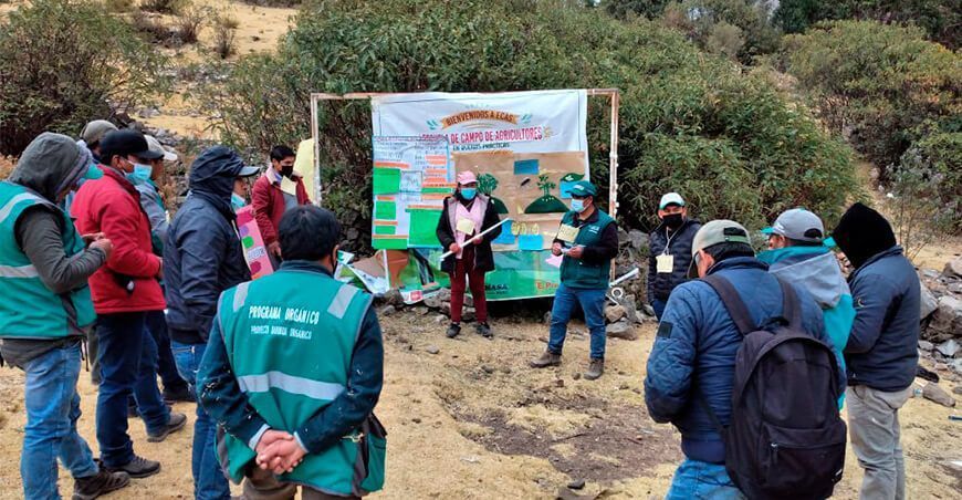 Senasa forma facilitadores de escuelas de campo en Huancavelica