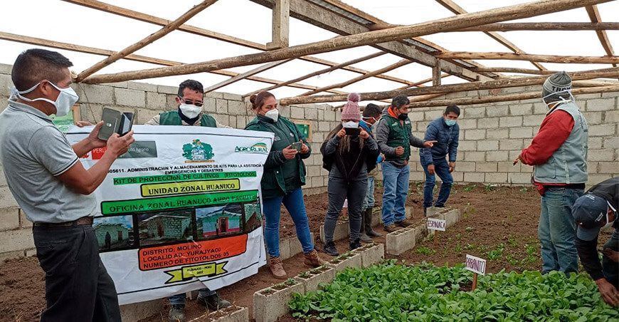 Agro Rural entregó 100 fitotoldos a familias campesinas de Huánuco