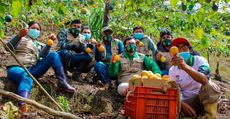 Exportan, por primera vez, granadilla a Canadá