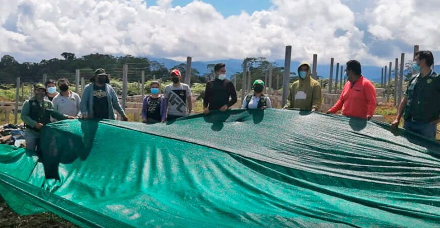 Continúan los trabajos para la culminación del vivero de té verde