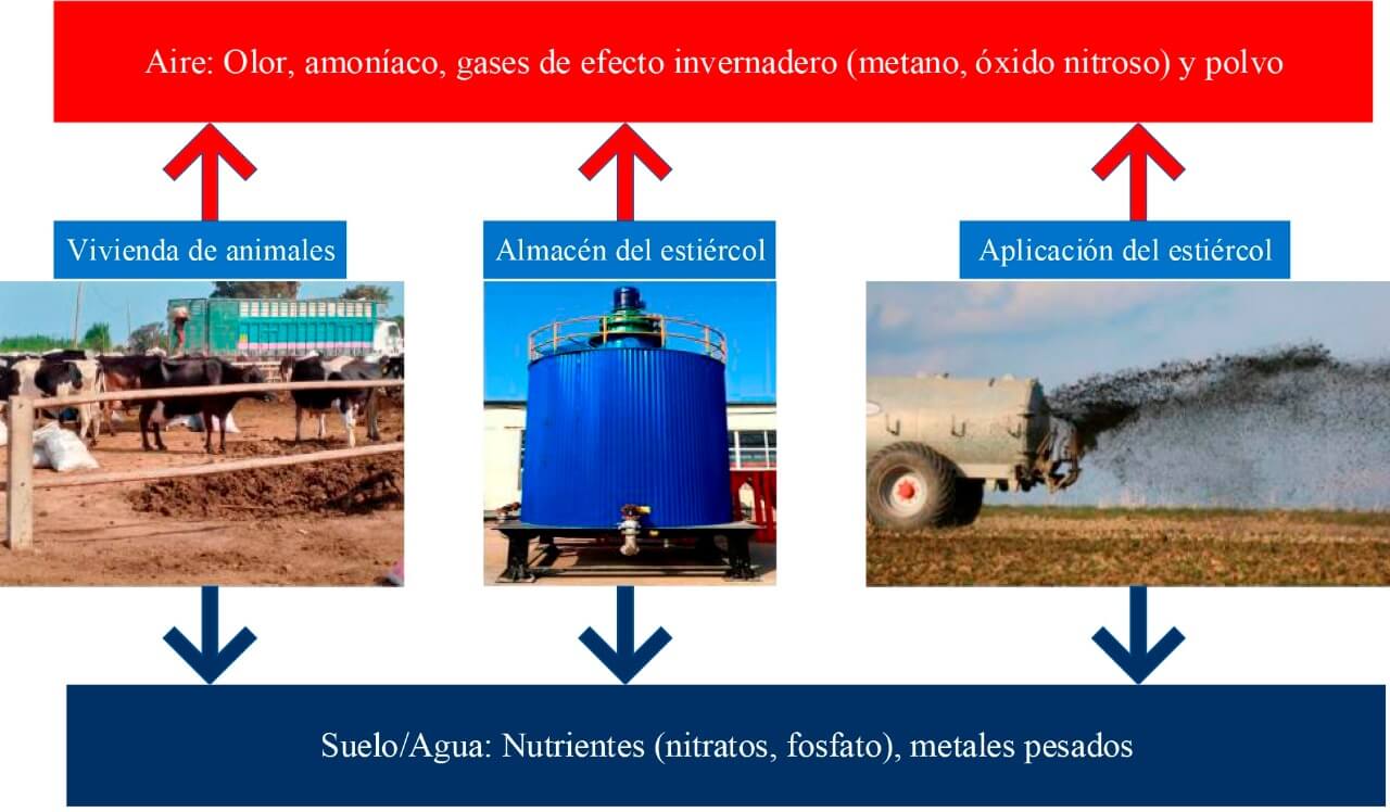 Tecnología para la obtención de humus de la industria agropecuaria