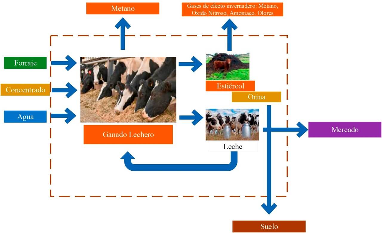 Tecnología para la obtención de humus de la industria agropecuaria