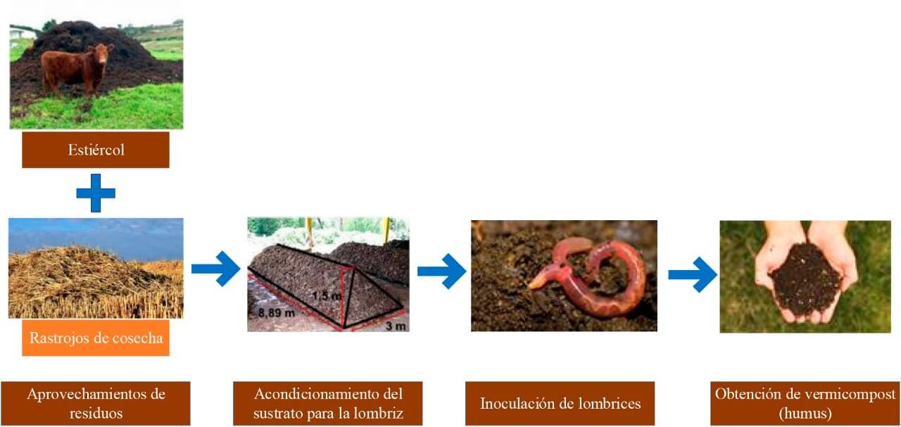 Tecnología para la obtención de humus de la industria agropecuaria