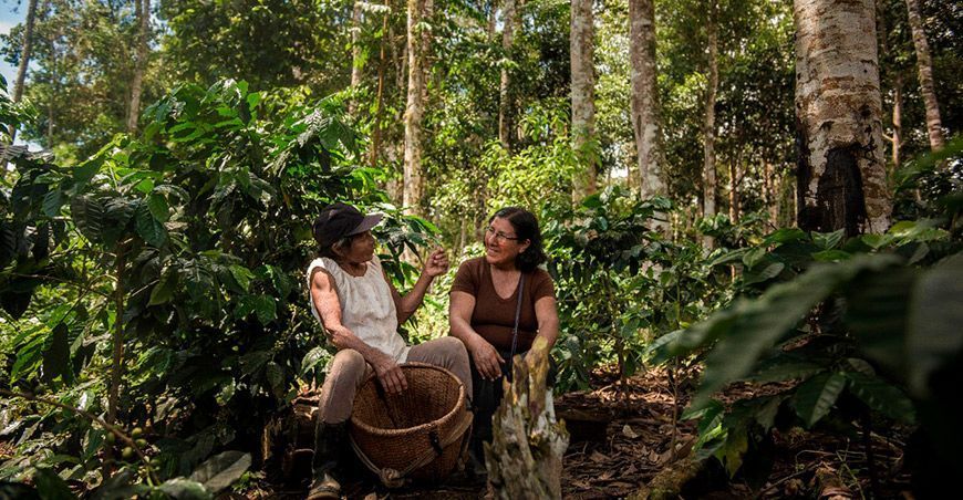 La igualdad de género es una vía para enfrentar la triple crisis que enfrenta América Latina y el Caribe
