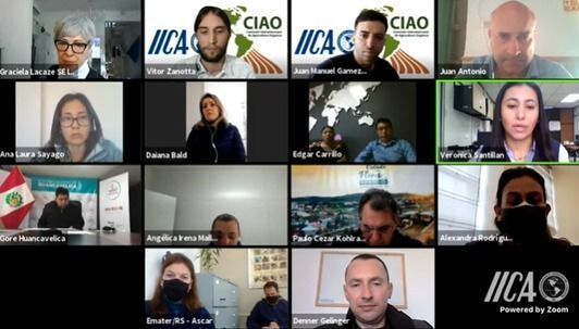 agricultura orgánica 