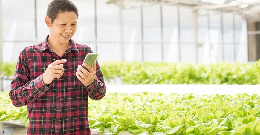 Tecnología blockchain, una oportunidad para aumentar el comercio agroalimentario de Perú