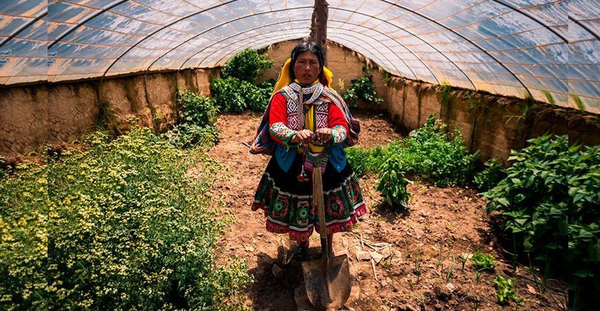 implementan fitotoldos para siembra de hortalizas y hierbas aromáticas