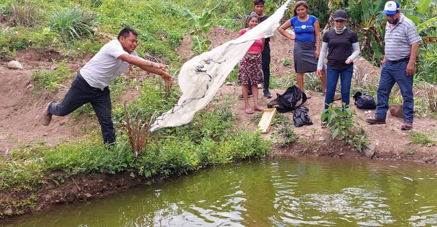 Implementan 140 piscigranjas en comunidades nativas de Cajamarca
