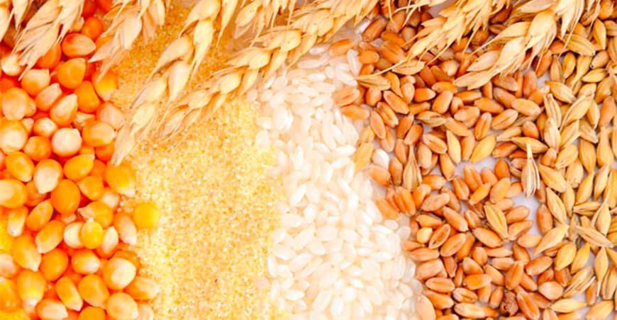 importación de cereales FAO