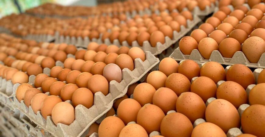 importación o exportación de huevos