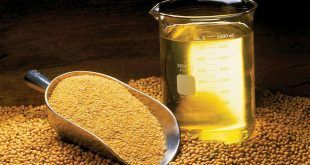 importación de aceite de soya