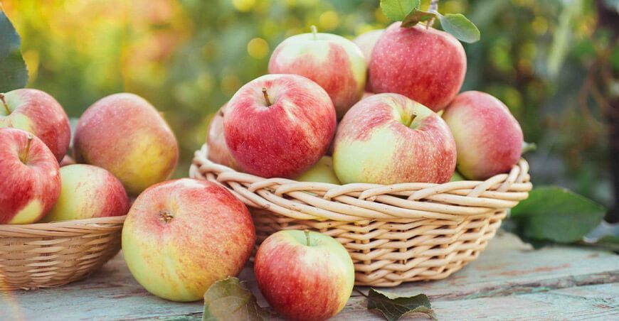 Inacal brinda requisitos para impulsar consumo y comercialización de manzanas de calidad