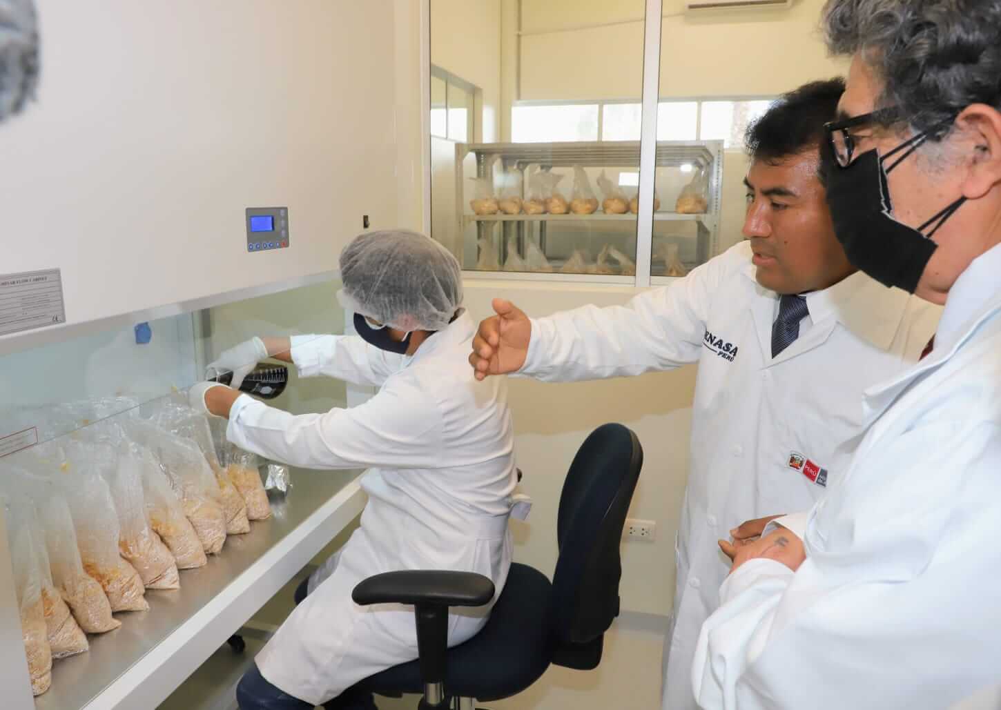 Inauguran moderno laboratorio de producción de hongos antagonistas