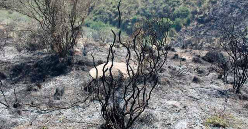 incendio forestal faldas Volcán Misti