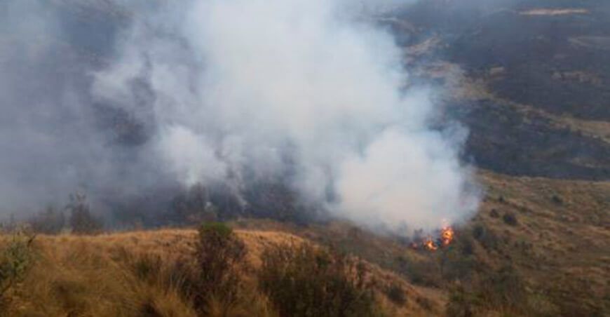 incendios forestales