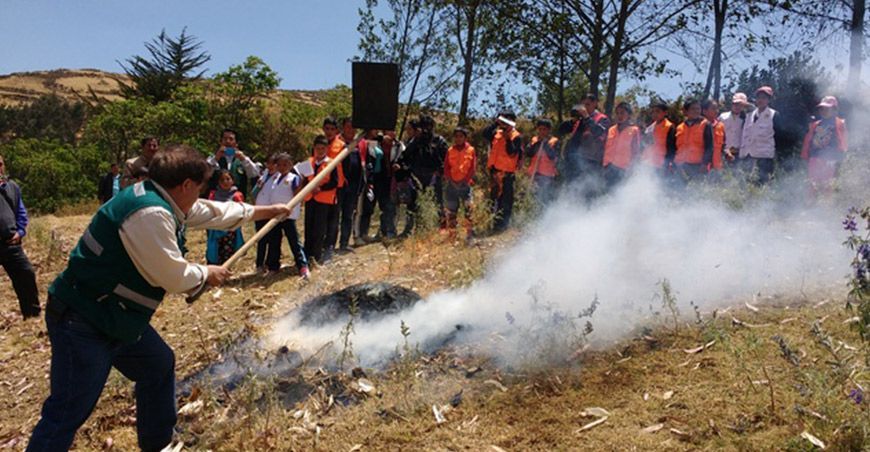 incendios forestales
