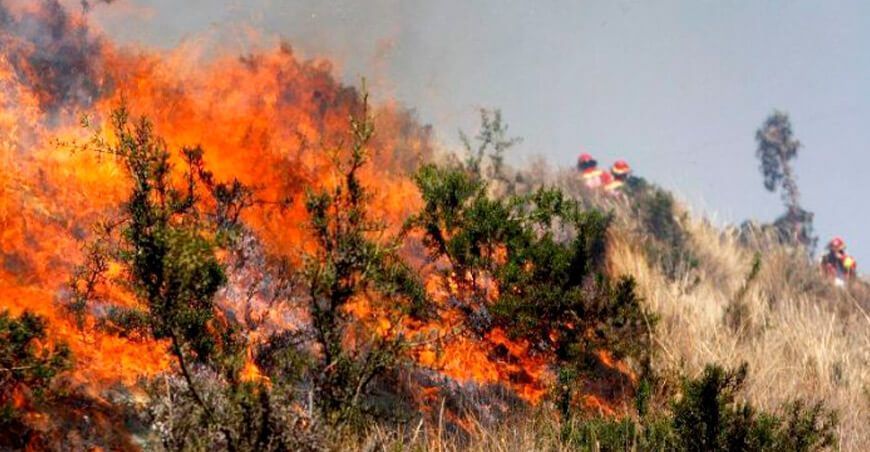 Incendios forestales Perú