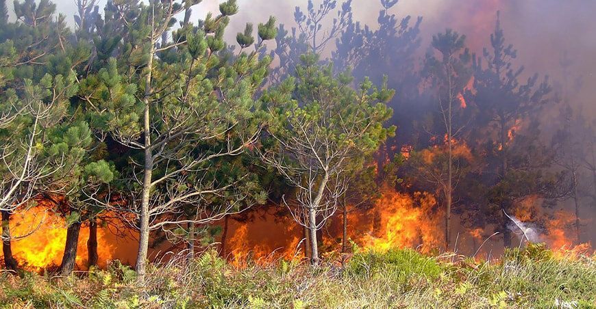 Incendios forestales Perú