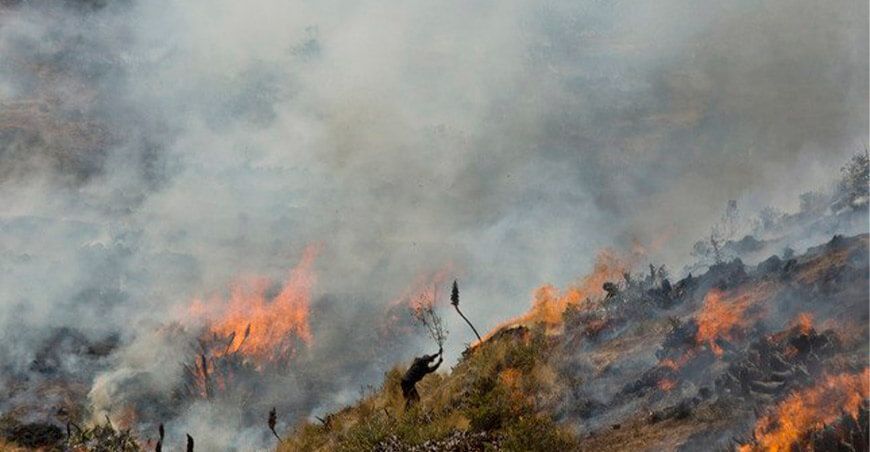 incendios forestales Perú