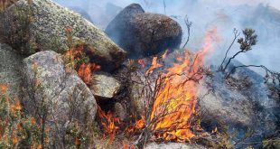 incendios forestales Sernanp Perú
