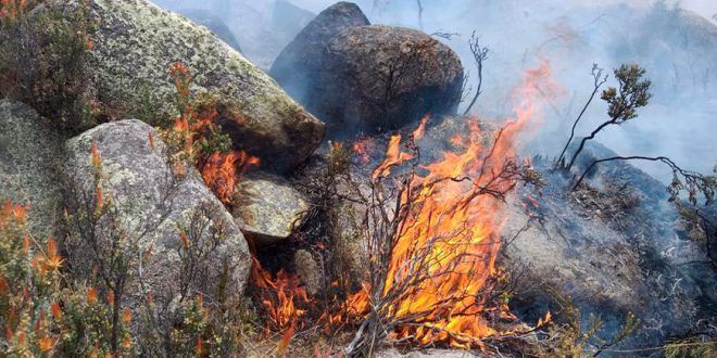 incendios forestales Sernanp Perú