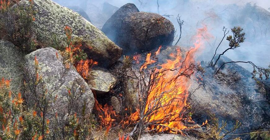 incendios forestales Sernanp Perú