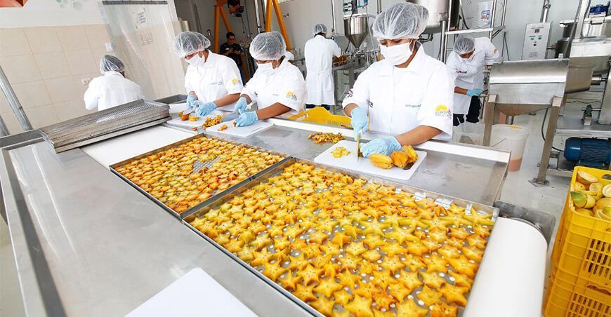 agro industrialización de la carambola ITP Perú
