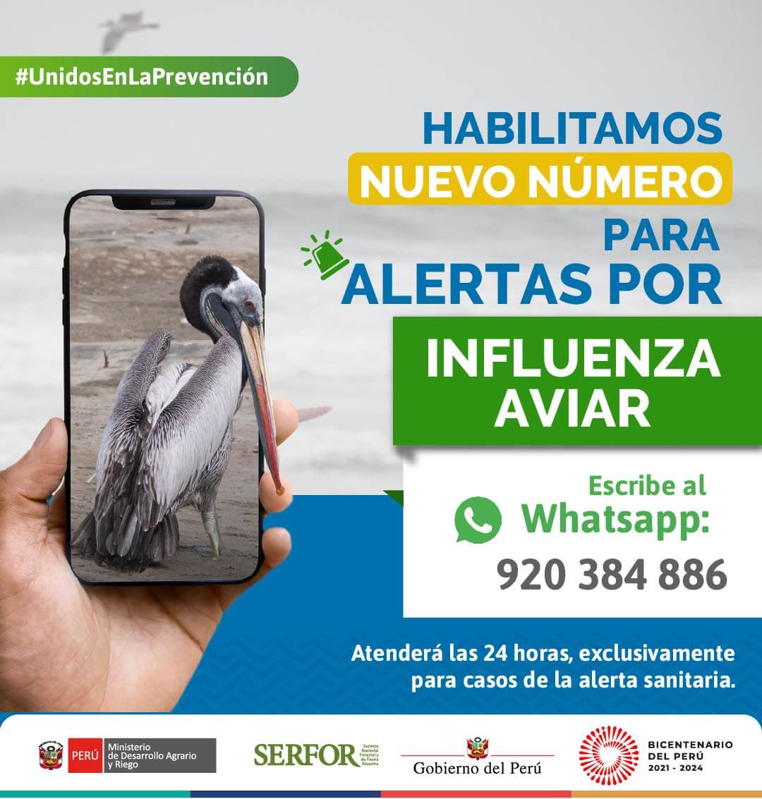 Serfor influenza aviar
