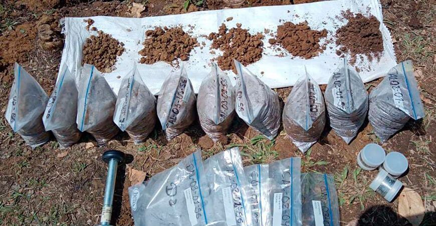 INIA analiza calidad del suelo agrario en Carabaya