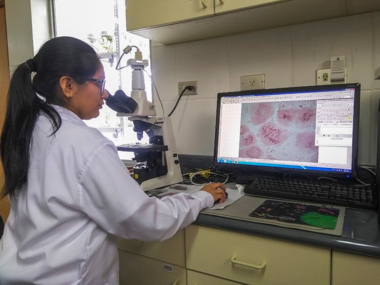 INIA descifra genoma cloroplastidial del árbol de la quina