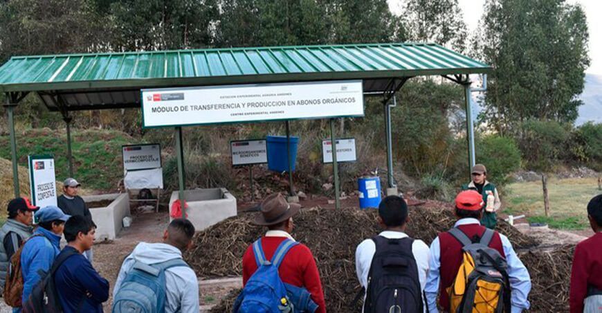 Productores adoptan tecnologías para obtener semillas de papa con calidad genética INIA Cusco