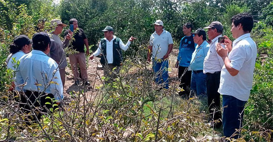 INIA capacito a productores de Lima