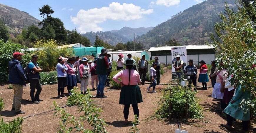 INIA capacito a productores agropecuarios de Pacucha Apurímac Perú
