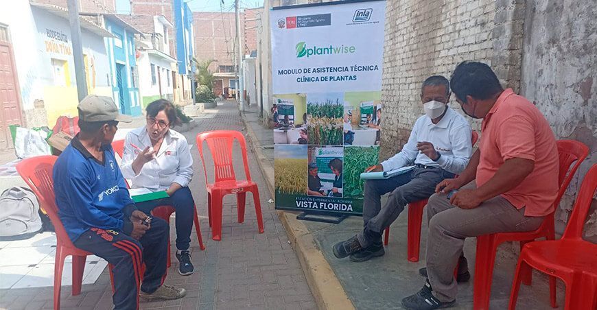 productores adoptan tecnologías para hacerle frente a plagas y enfermedades INIA Lambayeque