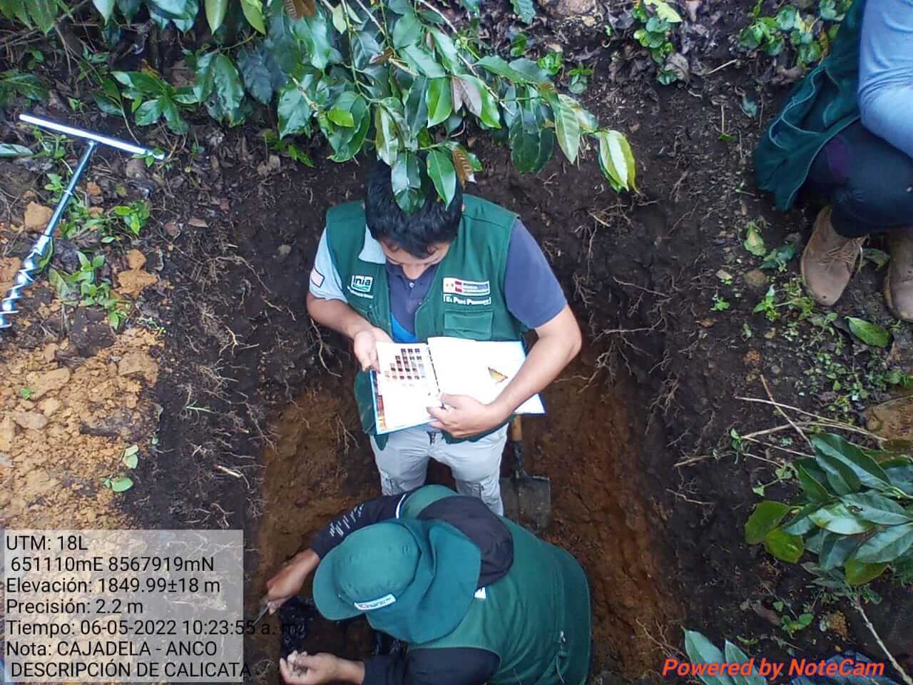 INIA caracteriza nivel de calidad de suelos agrarios en cultivo de café