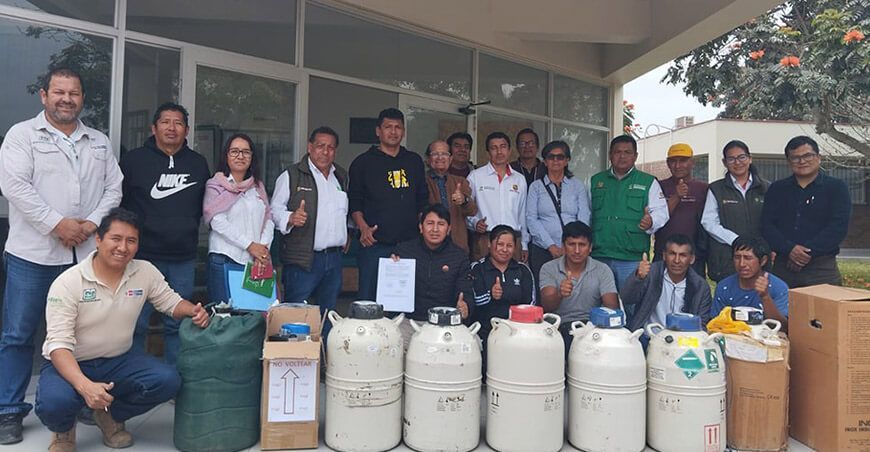 Entregan 1000 pajillas de semen de bovinos a asociaciones ganaderas de Lima INIA Perú