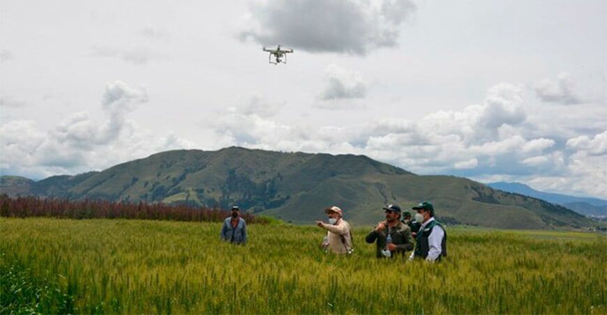 Transfieren tecnologías para incrementar producción de granos andinos en Cusco