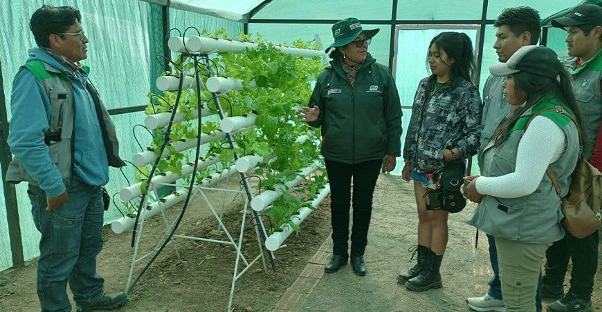nstalación de módulos hidropónicos en el sur del país