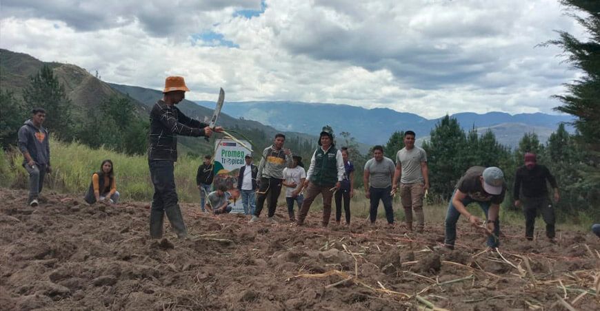 INIA instaló pastos Chachapoyas