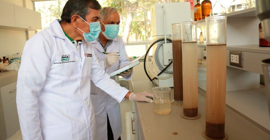 INIA produce más de 130 toneladas de semillas de cultivos con alta calidad genética