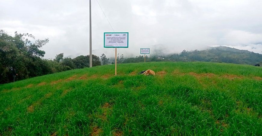 INIA instala parcela demostrativa de ryegrass y trébol americano en Cajamarca