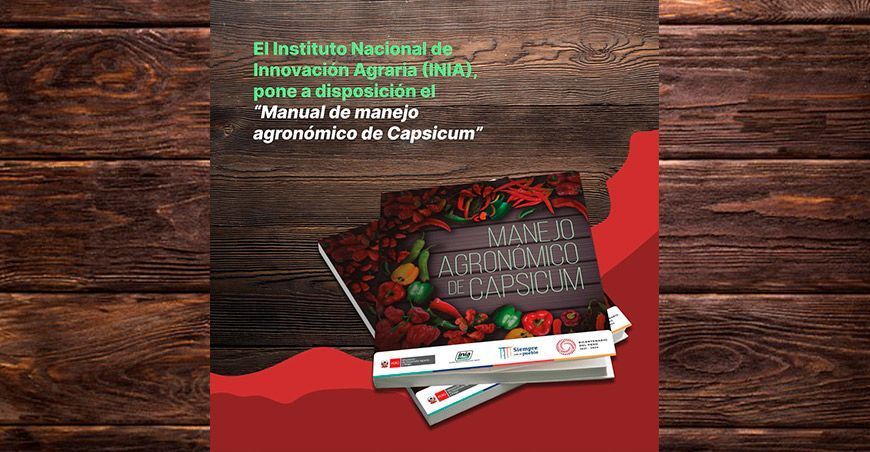 Manual de manejo agronómico de Capsicum del INIA Perú