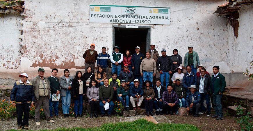 INIA trabaja en conservación de oca, olluco y mashua  en Cusco