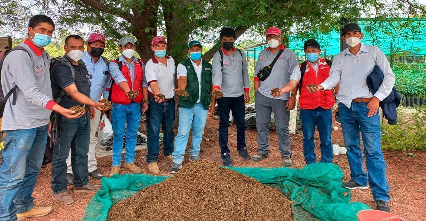 producción de abonos orgánicos INIA