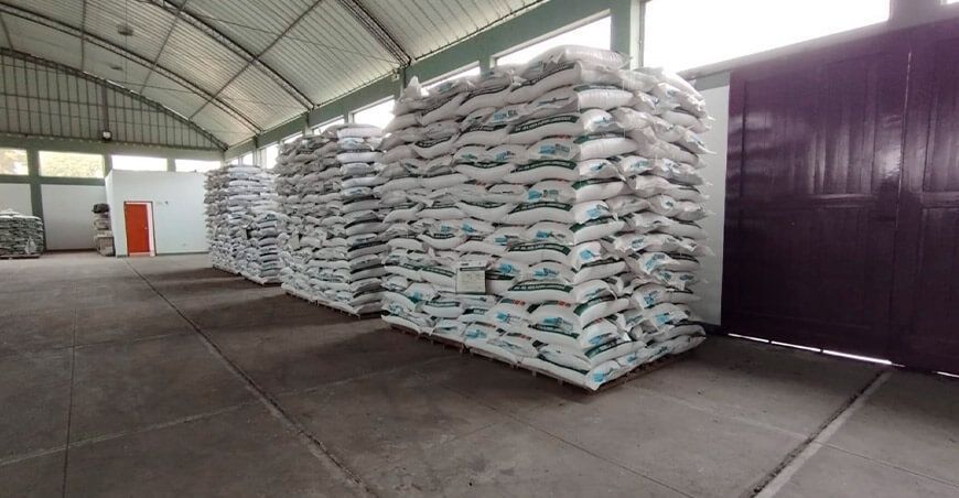 INIA produce más de 130 toneladas de semillas de cultivos con alta calidad genética
