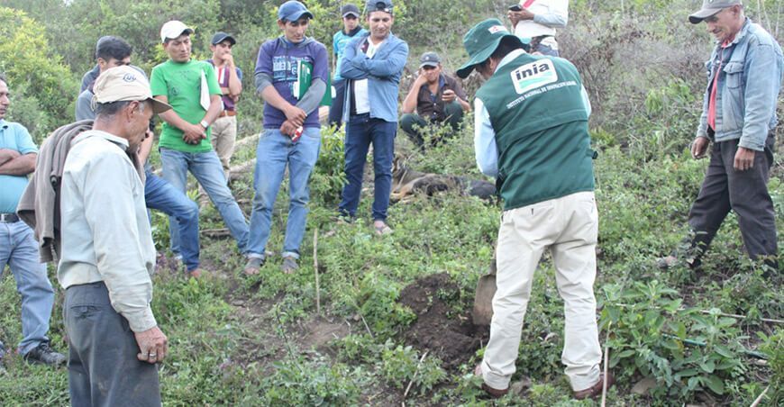 INIA transfirió tecnologías para mejorar calidad del café en Ayabaca