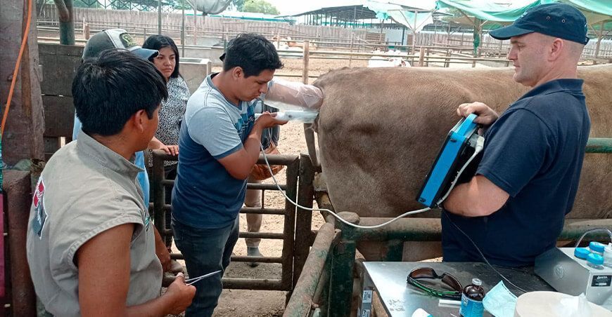 INIA capacitó en ultrasonografía de bovino a productores, estudiantes y profesionales