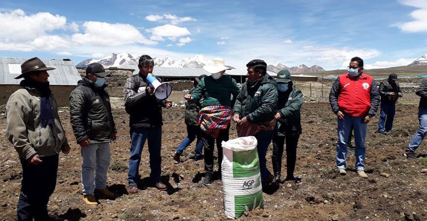 Agro Rural instalará 1,600 hectáreas de pastos en Ancash