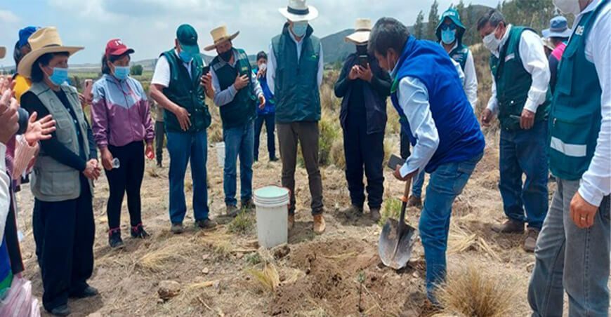 instalará plantones forestales en la región Arequipa