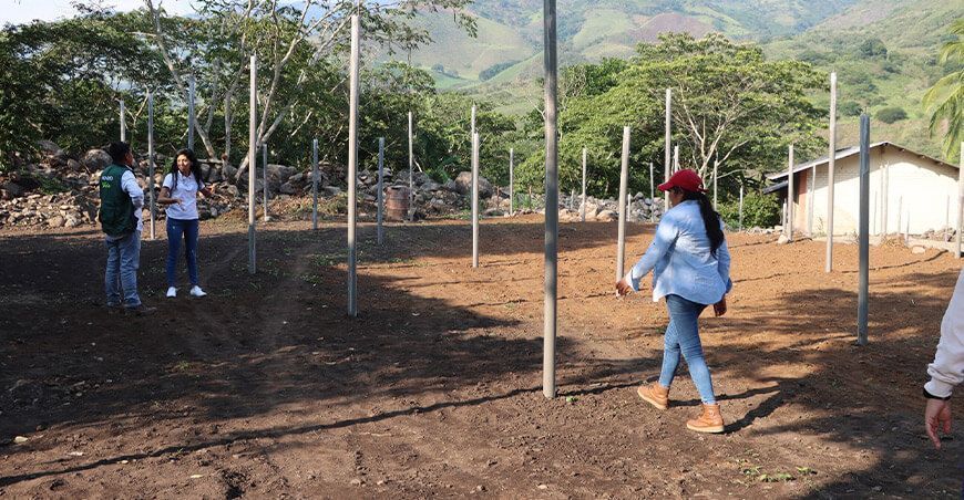 instalación de viveros forestales Cajamarca